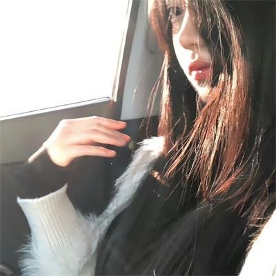 精灵宝可梦：大家的故事