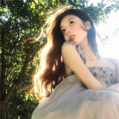 少年岳飞传奇